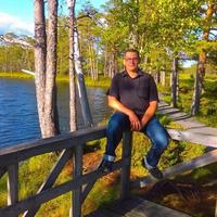 Отзыв от Анатолий - DTV виза